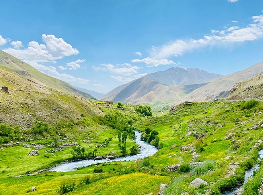 Afganistan Vize İşlemleri