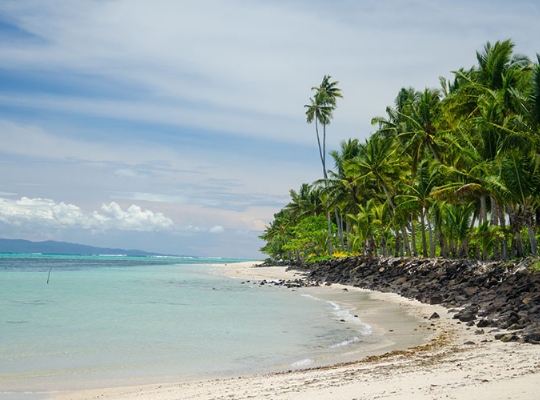 Batı Samoa Vize İşlemleri