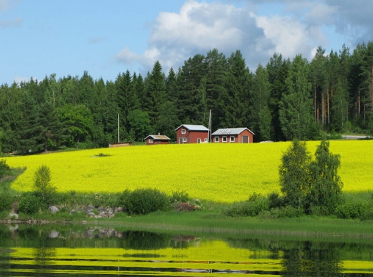 Finlandiya Vize İşlemleri