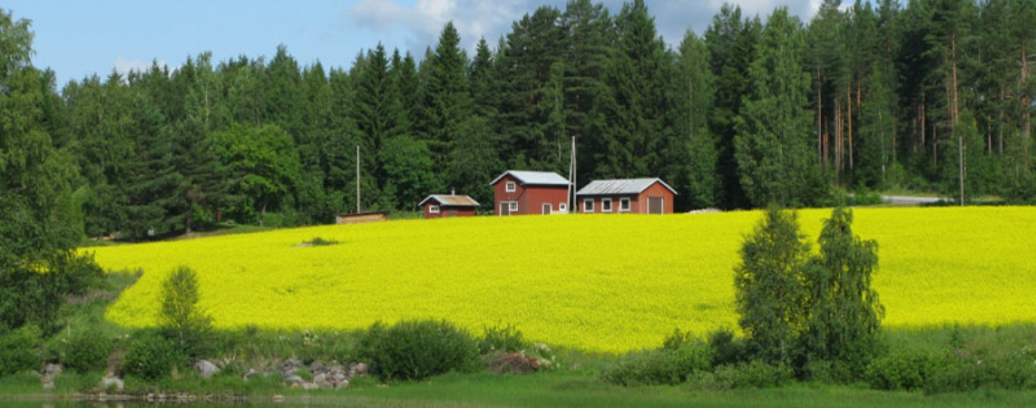 Finlandiya Vize İşlemleri