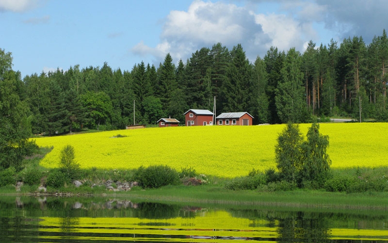 Finlandiya Vize İşlemleri
