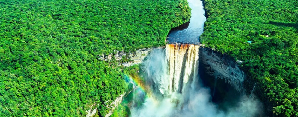 Guyana Vize İşlemleri