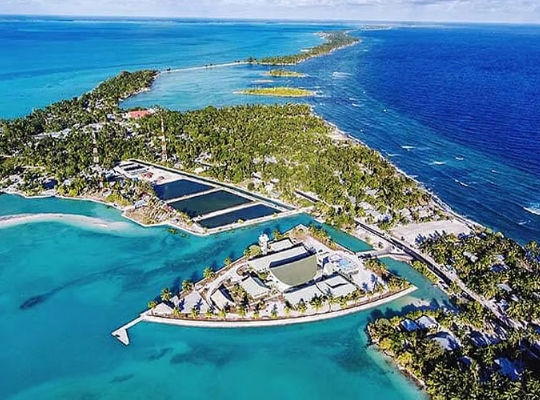 Kiribati Vize İşlemleri