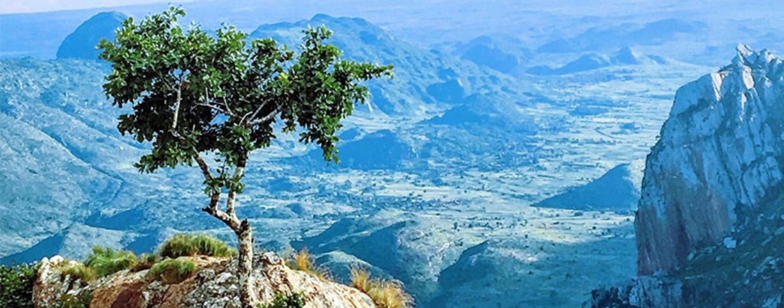 Malawi Vize İşlemleri