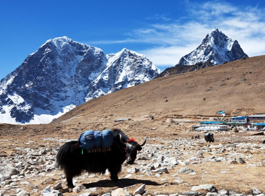 Nepal Vize İşlemleri