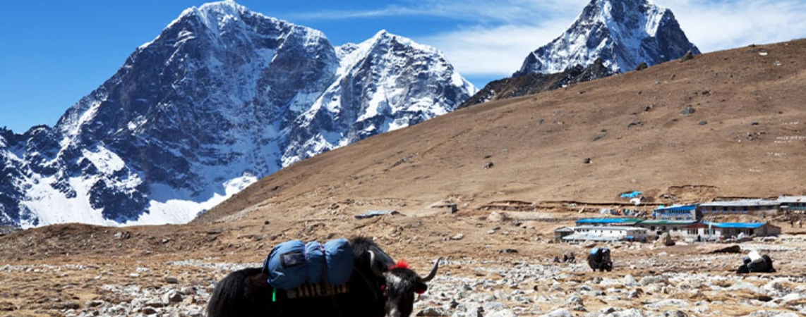 Nepal Vize İşlemleri