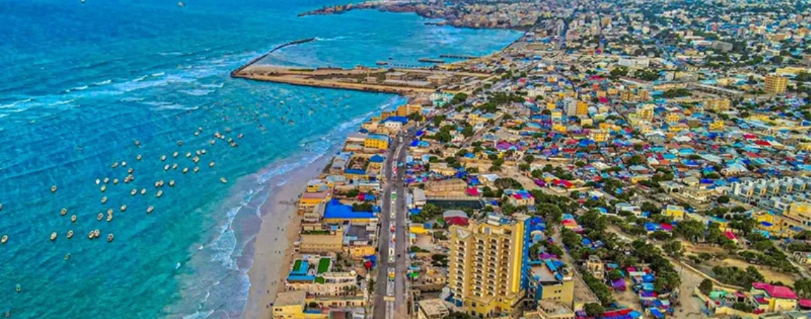 Somali Vize İşlemleri